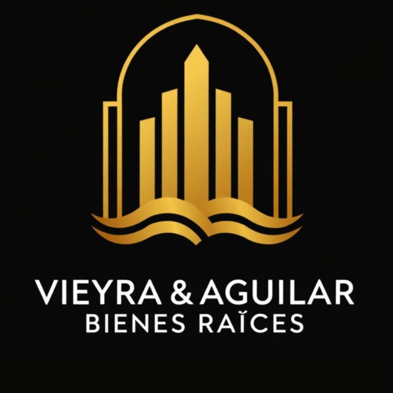 Logotipo de Vieyra y Aguilar